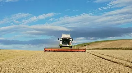 combine contractor in action