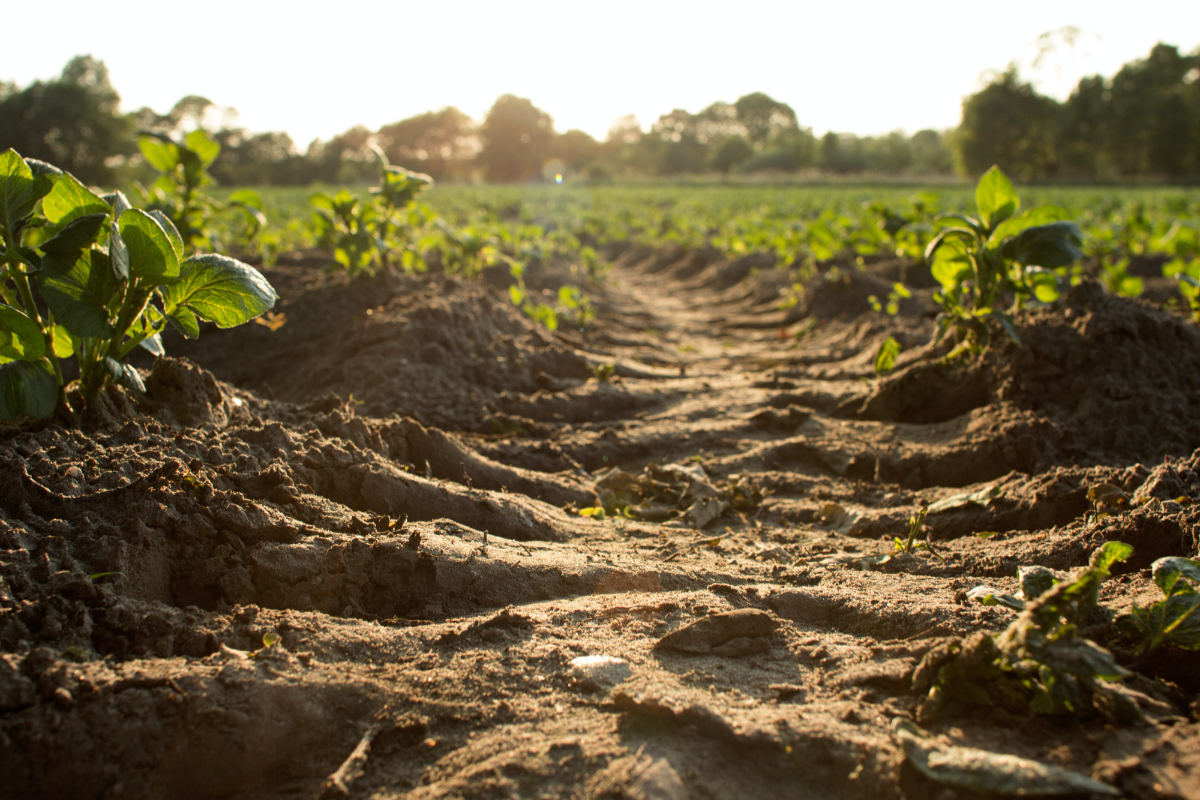 Things To Consider In Selecting Farm Machinery 