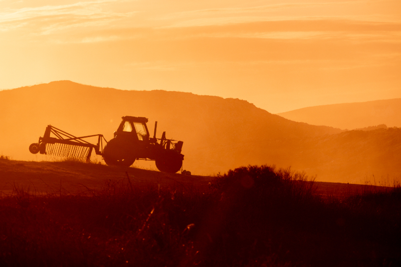 Cultivator Machine Used In Agriculture